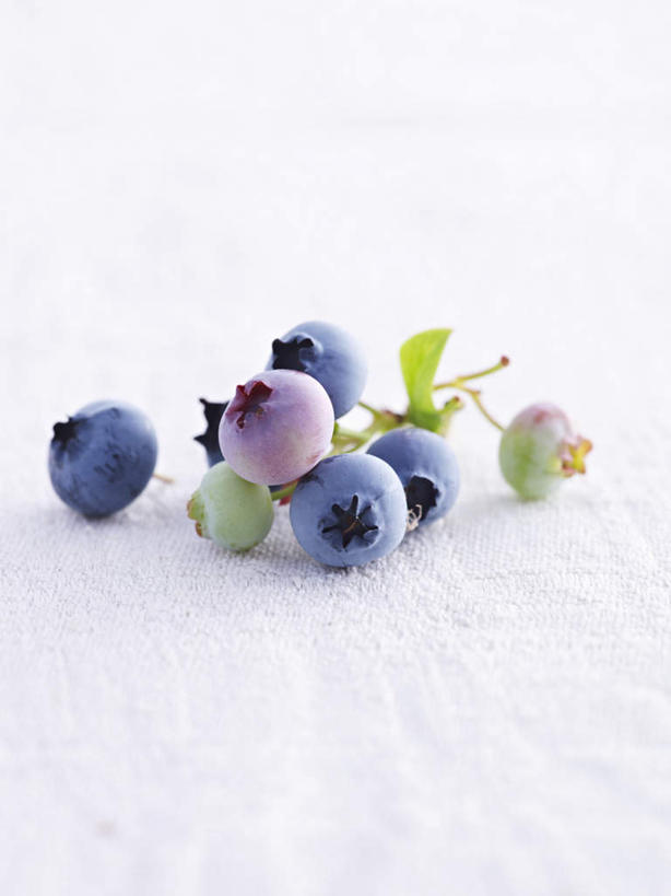 无人,竖图,俯视,室内,特写,白天,白色背景,浆果,蓝莓,水果,叶子,阴影,新鲜,反射,影子,生食,食品,果实,绿叶,食物,嫩叶,摄影,有机食品,绿色食品,影棚,叶,叶片,山都柿,蓝浆果,蓝靛果,彩图,高角度拍摄,影棚拍摄,拍摄,都柿,笃斯