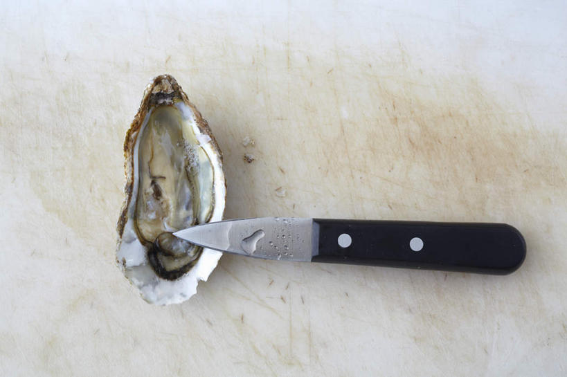 海鲜,无人,横图,俯视,室内,特写,白天,一把,阴影,反射,工具,影子,刀具,牡蛎,水产,海洋生物,一个,刀,打开,摄影,影棚,单个,生蚝,开启,水生动物,海产品,水生物,海底动物,牡蛎刀,彩图,高角度拍摄,影棚拍摄,拍摄
