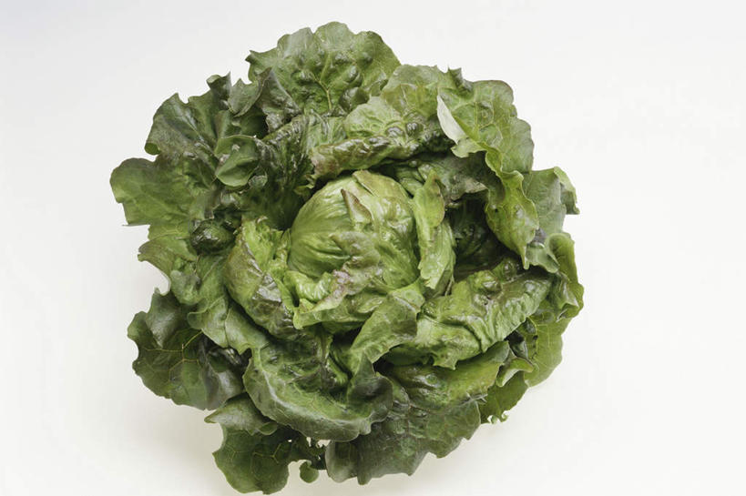 无人,横图,俯视,室内,特写,白天,白色背景,蔬菜,新鲜,生菜,莴苣,生食,食品,食物,有机食品,绿色食品,春菜,鹅仔菜,莴仔菜,千金菜,叶用莴苣,彩图,高角度拍摄,影棚拍摄