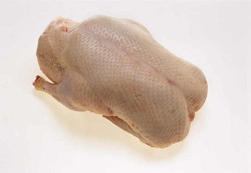 无人,竖图,俯视,室内,特写,白天,白色背景,鸟,阴影,光线,鸟类,鸭,影子,一个,动物,摄影,牲畜,影棚,单个,番鸭,红面鸭,瘤头鸭,美洲家鸭,疣鼻栖鸭,彩图,高角度拍摄,影棚拍摄,拍摄