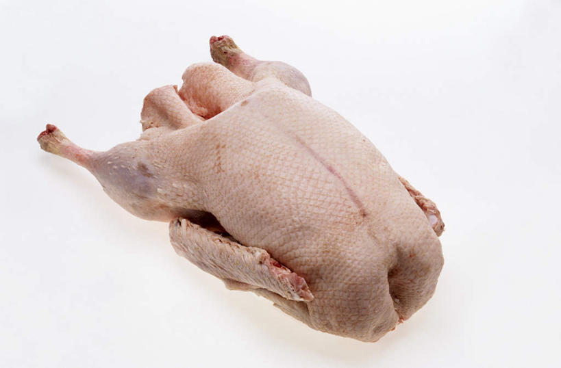 无人,竖图,俯视,室内,特写,白天,白色背景,鹅,鸟,阴影,光线,鸟类,水鸟,影子,一个,摄影,影棚,单个,加拿大鹅,彩图,高角度拍摄,影棚拍摄,拍摄