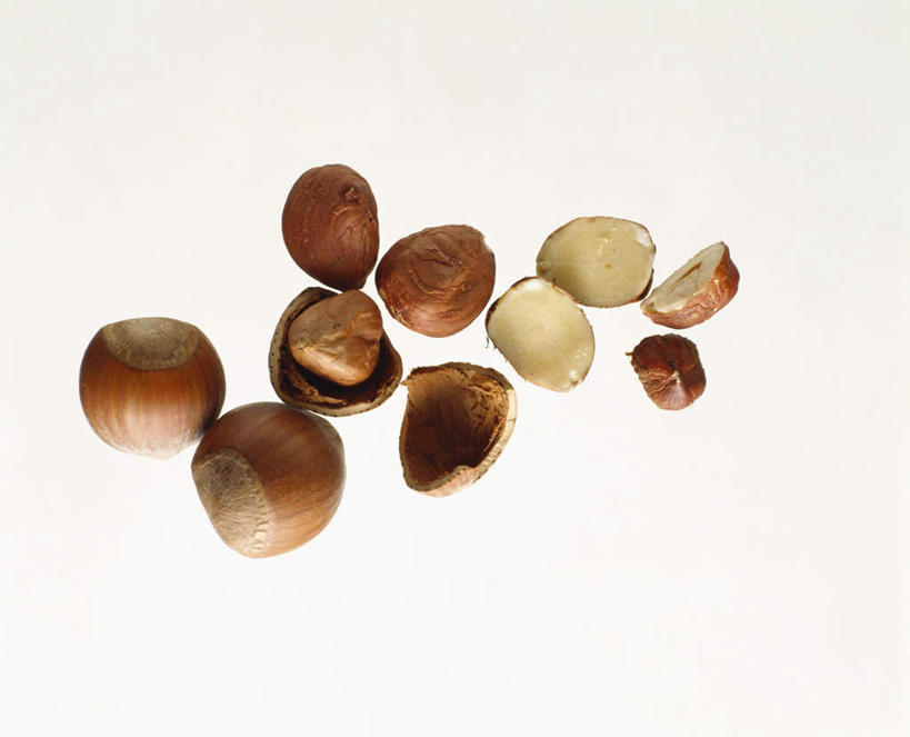 无人,横图,俯视,室内,特写,白天,白色背景,许多,阴影,朦胧,模糊,光线,影子,坚果,果实,很多,干果,摄影,影棚,榛子,山板栗,彩图,高角度拍摄,影棚拍摄,拍摄