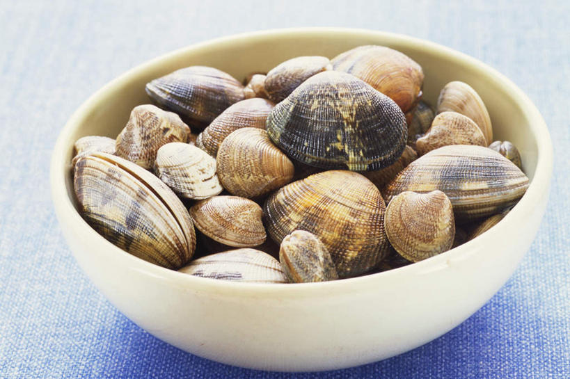 无人,横图,俯视,室内,特写,白天,桌面,桌子,贝壳,一堆,许多,阴影,堆叠,堆积,朦胧,模糊,光线,木制,影子,陶瓷,陶瓷制品,很多,一只,木制品,容器,碗,河蚌,储藏,堆,储存,蚌,水蚌,贝类外壳,软体动物外壳,彩图,高角度拍摄,贮存