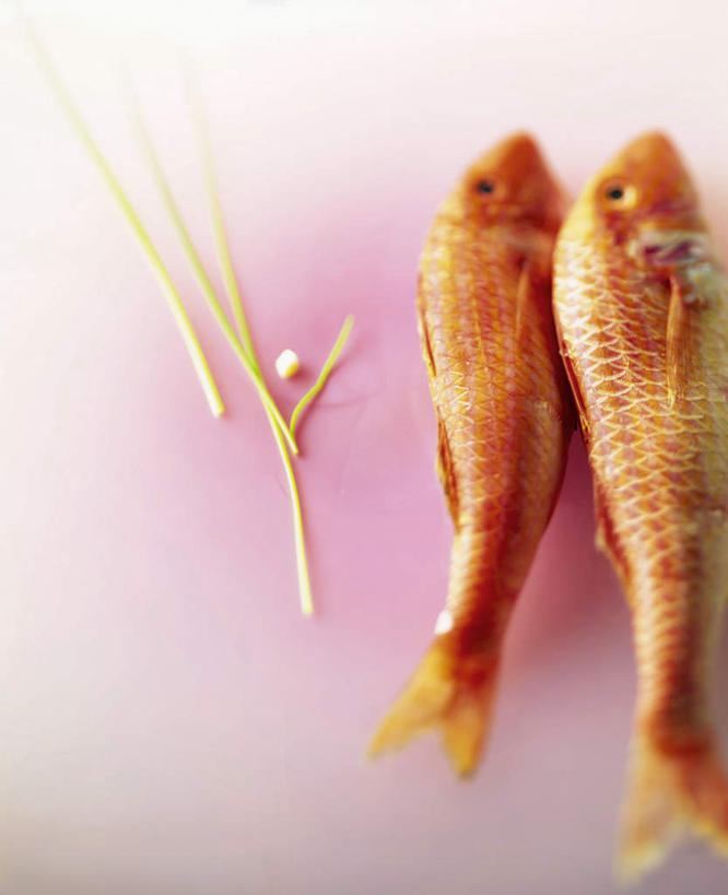 海鲜,无人,竖图,俯视,室内,特写,白天,餐桌,桌子,两条,阴影,朦胧,模糊,光线,鱼,影子,葱,青葱,调味,香料,佐料,水产,鱼类,中药,海洋生物,橙色,餐台,配料,水生动物,海产品,药材,水生物,海底动物,中药材,作料,鲃鱼,青竹鲤,竹鲃鲤,彩图,高角度拍摄