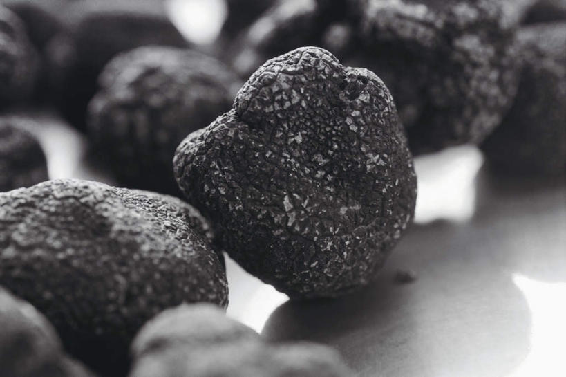 无人,横图,俯视,室内,特写,白天,神秘,餐桌,桌子,蔬菜,许多,阴影,朦胧,模糊,新鲜,光线,影子,菌菇,食品,很多,菌类,食物,黑色,食用菌,有机食品,绿色食品,餐台,严肃,庄重,含蓄,沉静,中间色,黑孢块菌,黑块菌,块菌,彩图,高角度拍摄