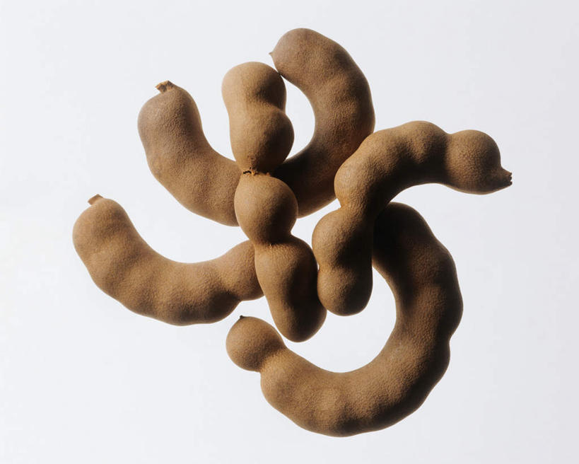 无人,横图,俯视,室内,特写,白天,白色背景,水果,一排,许多,阴影,整齐,光线,影子,调味,香料,佐料,果实,草药,很多,排列,摄影,影棚,配料,草本,队列,罗望子,作料,酸豆,酸角,彩图,高角度拍摄,影棚拍摄,拍摄