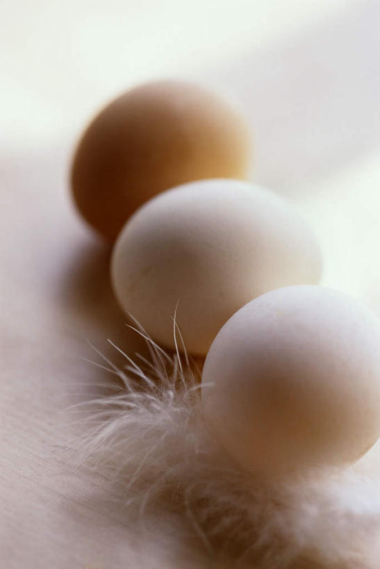 无人,竖图,俯视,室内,特写,白天,白色背景,羽毛,一排,一片,阴影,轻盈,柔软,整齐,光线,影子,蛋,鸡蛋,排列,三个,摄影,影棚,队列,草鸡蛋,轻柔,卵,彩图,高角度拍摄,影棚拍摄,拍摄