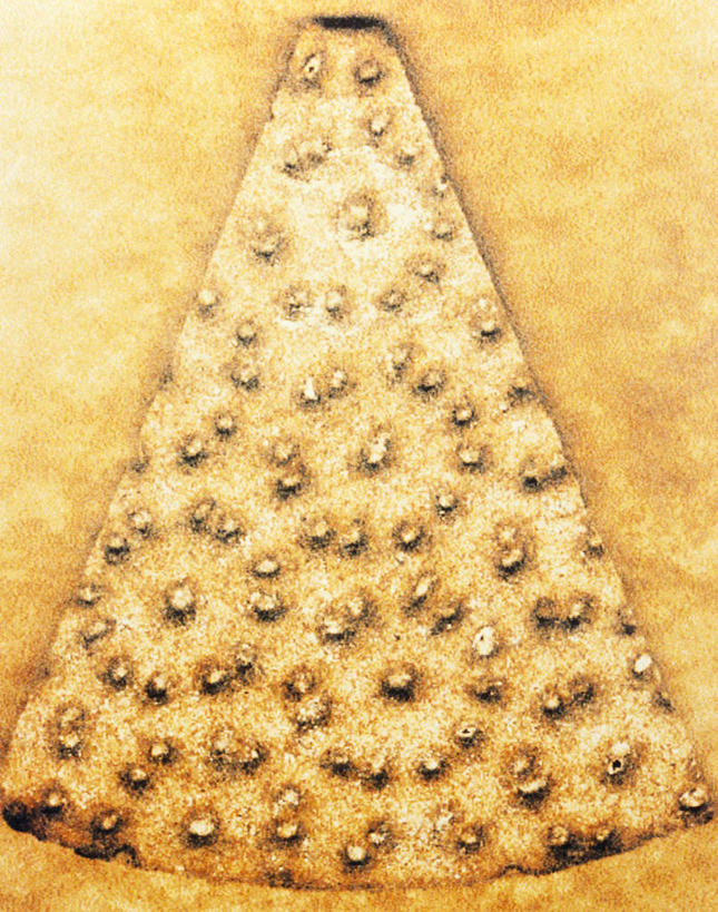 点心,面包,无人,竖图,俯视,室内,特写,白天,农作物,小麦,桌面,桌子,一片,阴影,反射,木制,影子,谷物,食品,面点,食物,糕点,木制品,麦子,黑麦,裸麦,彩图,高角度拍摄