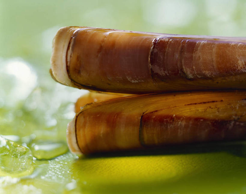 海鲜,无人,横图,俯视,室内,特写,白天,烹饪,西餐,桌面,桌子,餐具,阴影,反射,木制,碟子,盘,影子,料理,食品,水产,菜肴,美食,海洋生物,食物,两个,一个,盘子,木制品,碟,西式,佳肴,单个,软体动物,水生动物,海产品,水生物,蛏子,海底动物,蛏,蛏子王,缢蛏,竹蛏,彩图,高角度拍摄