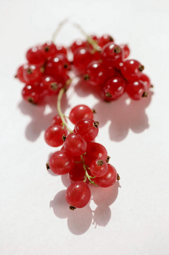 无人,竖图,俯视,室内,特写,白天,白色背景,兴奋,热情,浆果,水果,三串,阴影,朦胧,模糊,新鲜,光线,影子,灯笼果,生食,食品,果实,开放,食物,红色,健康,温暖,奔放,活力,积极,激情,摄影,朝气,有机食品,绿色食品,影棚,暖色,吉祥,生命,饱满,红醋栗,革命,热烈,赤色,充实,斗志,喜气,主动,醋栗,彩图,高角度拍摄,影棚拍摄,欢乐,拍摄