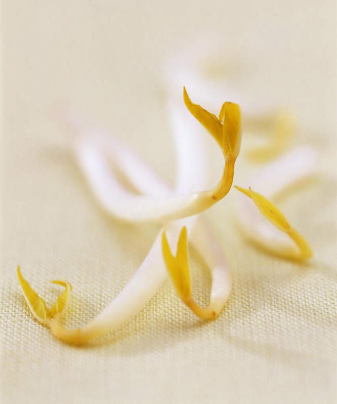 无人,竖图,俯视,室内,特写,白天,餐桌,桌子,蔬菜,阴影,朦胧,模糊,新鲜,光线,影子,豆芽,食品,食物,黄色,白色,四个,有机食品,绿色食品,餐台,豆芽菜,芽苗菜,彩图,高角度拍摄