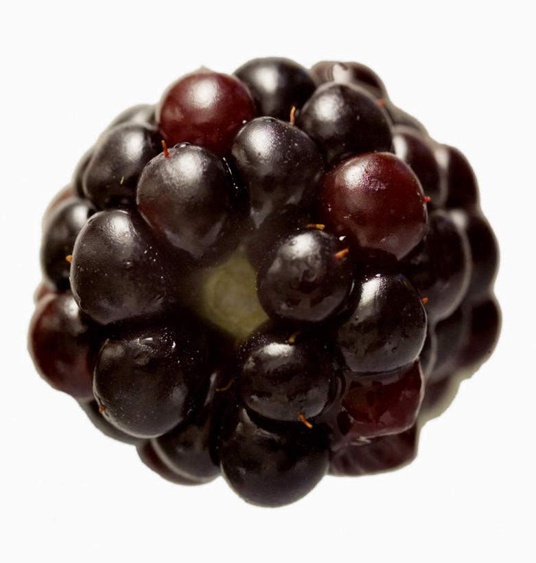 无人,竖图,俯视,室内,特写,白天,白色背景,浆果,水果,许多,阴影,朦胧,模糊,新鲜,环绕,围绕,光线,影子,生食,食品,果实,环抱,食物,覆盆子,摄影,有机食品,绿色食品,影棚,萦绕,黑刺莓,彩图,高角度拍摄,影棚拍摄,拍摄