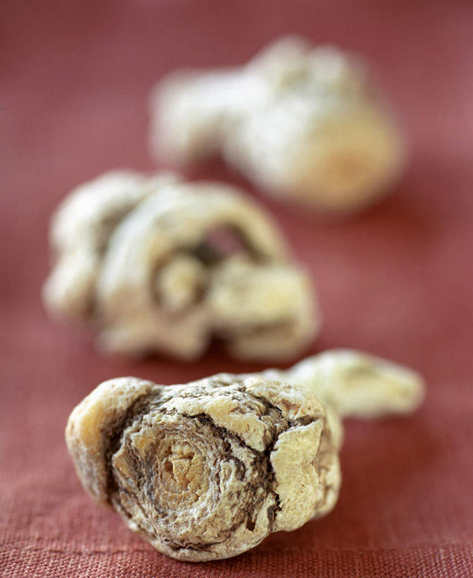 无人,竖图,俯视,室内,特写,白天,植物,当归,阴影,红色背景,朦胧,模糊,光线,影子,调味,香料,佐料,根,草药,药草,中药,三个,阳光,摄影,影棚,配料,药材,中草药,中药材,本草,作料,云归,西当归,秦归,岷当归,彩图,高角度拍摄,影棚拍摄,拍摄