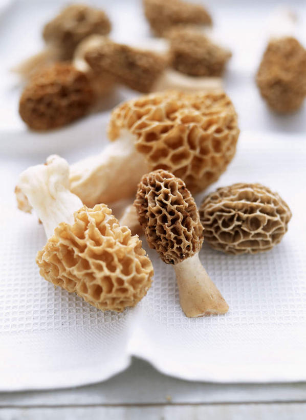 无人,竖图,俯视,室内,特写,白天,桌面,桌子,蔬菜,一堆,许多,阴影,堆叠,堆积,花纹,新鲜,光线,木制,布,图案,影子,菌菇,食品,很多,菌类,布纹,食物,木制品,食用菌,有机食品,绿色食品,堆,布匹,羊肚菇,羊肚菜,羊肚菌,羊蘑,美味羊肚菌,彩图,高角度拍摄