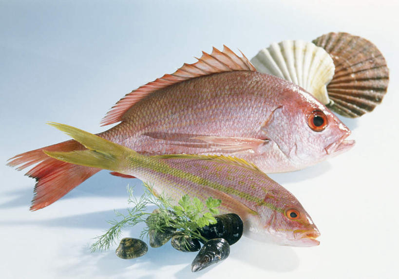 海鲜,无人,横图,俯视,室内,特写,白天,白色背景,餐桌,桌子,芹菜,蔬菜,贝壳,阴影,光线,影子,调味,香料,佐料,水产,海洋生物,摄影,荷兰芹,欧芹,香芹,影棚,餐台,迷迭香,配料,水生动物,海产品,水生物,海底动物,法香,巴西利,洋香菜,洋芫荽,法国香菜,海洋之露,作料,旱芹菜,番荽,黄尾笛鲷,贝类外壳,海螺壳,软体动物外壳,彩图,高角度拍摄,全身,影棚拍摄,拍摄