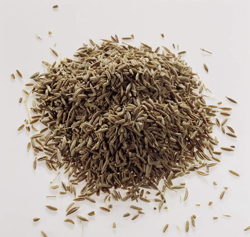 无人,横图,俯视,室内,特写,白天,植物,许多,阴影,灰色背景,光线,影子,调味,香料,佐料,草药,药草,中药,排列,摄影,影棚,葛缕子,配料,药材,中草药,中药材,本草,作料,摆列,彩图,高角度拍摄,影棚拍摄,拍摄,布列,分列