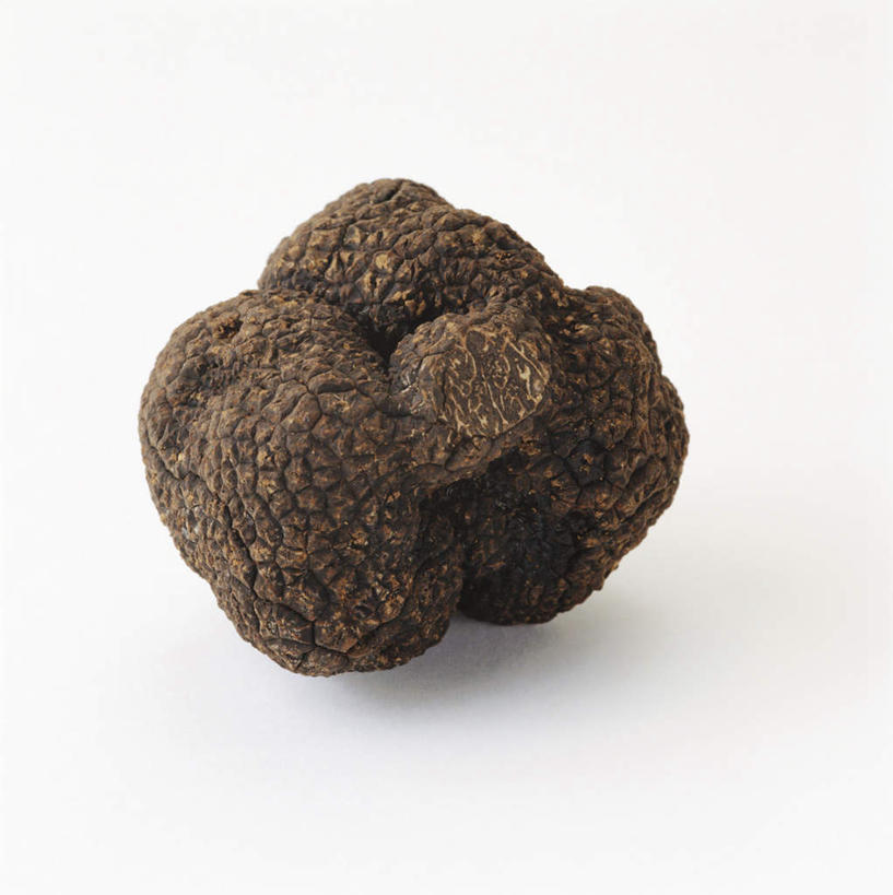 无人,竖图,俯视,室内,特写,白天,白色背景,桌面,桌子,蔬菜,阴影,新鲜,光线,木制,影子,菌菇,食品,菌类,食物,一个,黑色,木制品,食用菌,摄影,有机食品,绿色食品,影棚,单个,黑孢块菌,黑块菌,块菌,彩图,高角度拍摄,影棚拍摄,拍摄