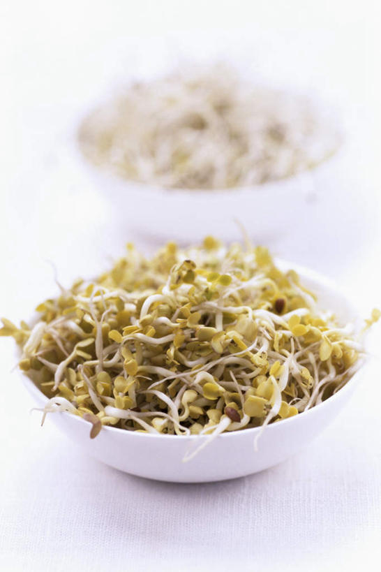 无人,竖图,俯视,室内,特写,白天,白色背景,餐桌,桌子,蔬菜,一堆,许多,阴影,堆叠,堆积,新鲜,光线,影子,陶瓷,食品,陶瓷制品,很多,食物,容器,碗,摄影,有机食品,绿色食品,影棚,餐台,储藏,堆,储存,紫花苜蓿,秧苗,彩图,高角度拍摄,影棚拍摄,拍摄,贮存