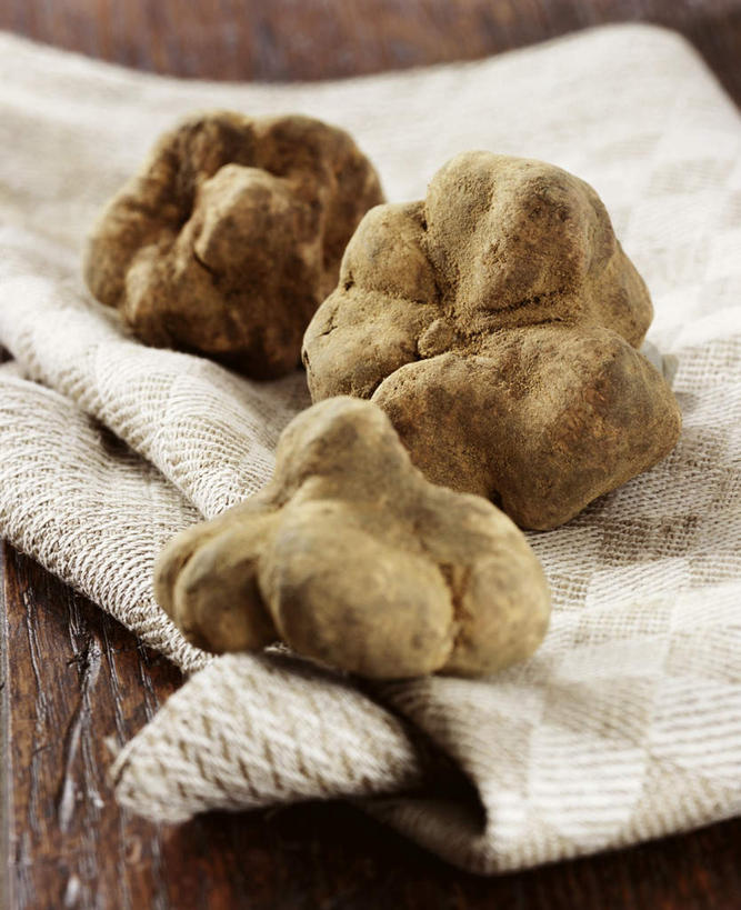 无人,竖图,俯视,室内,特写,白天,餐桌,桌子,蔬菜,袋子,阴影,朦胧,模糊,新鲜,光线,影子,菌菇,食品,菌类,麻袋,食物,三个,容器,食用菌,有机食品,绿色食品,餐台,储藏,储存,黑孢块菌,黑块菌,块菌,彩图,高角度拍摄,贮存