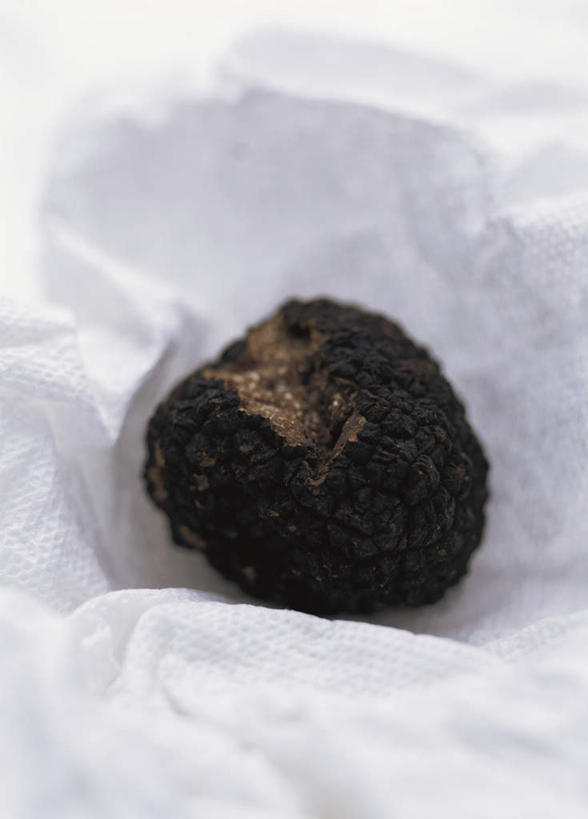 无人,竖图,俯视,室内,特写,白天,餐桌,桌子,蔬菜,阴影,朦胧,模糊,新鲜,光线,布料,影子,菌菇,食品,菌类,布纹,桌布,食物,一个,白色,餐巾,台布,食用菌,有机食品,绿色食品,单个,餐台,黑孢块菌,黑块菌,块菌,彩图,高角度拍摄