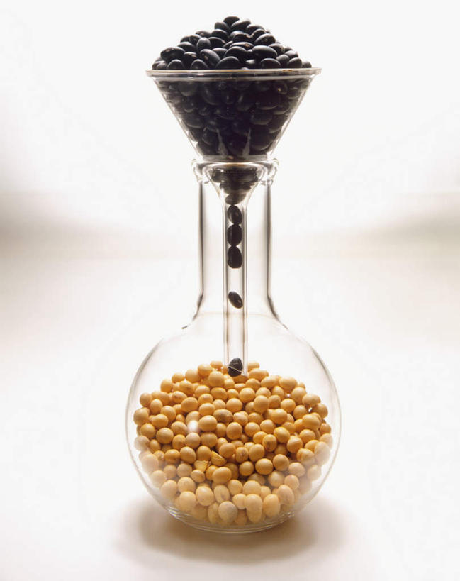 无人,竖图,俯视,室内,特写,白天,白色背景,实验,仪器,植物,豆,大豆,蔬菜,一堆,许多,阴影,堆叠,堆积,新鲜,研究,透明,分析,光线,化学,测试,漏斗,烧瓶,影子,豆类,豆子,毛豆,黑豆,食品,很多,过滤,玻璃制品,食物,玻璃瓶,瓶子,器皿,摄影,有机食品,绿色食品,影棚,堆,豆科,乌豆,乌大豆,玻璃仪器,试验耗材,实验用品,平底烧瓶,分液漏斗,枝豆,黄豆,彩图,高角度拍摄,影棚拍摄,拍摄