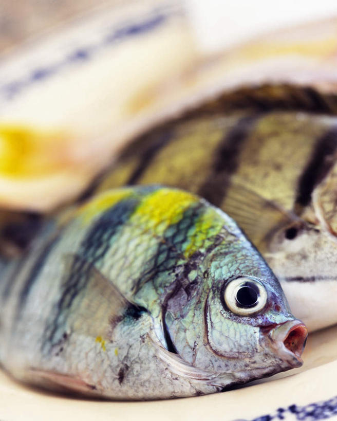 无人,竖图,俯视,室内,特写,白天,餐桌,桌子,餐具,阴影,朦胧,模糊,光线,鱼,碟子,盘,影子,鱼类,海洋生物,两个,盘子,碟,餐台,水生动物,水生物,海底动物,灰镰鱼,镰鱼,彩图,高角度拍摄