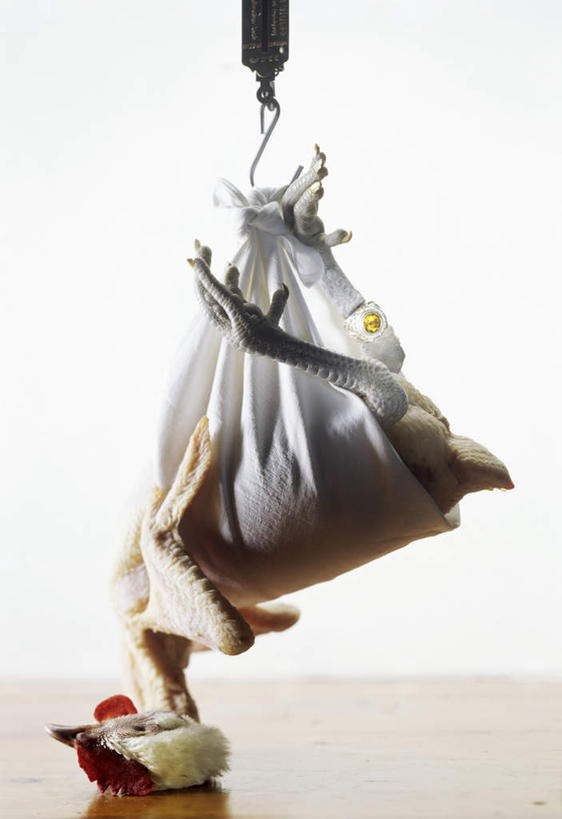 无人,竖图,俯视,室内,特写,白天,仪器,餐桌,桌子,鸡,袋子,阴影,朦胧,模糊,光线,影子,墙,麻袋,家禽,墙壁,墙面,一个,一只,动物,容器,牲畜,单个,餐台,储藏,衡量,储存,计量,衡器,案秤,秤,彩图,高角度拍摄,贮存