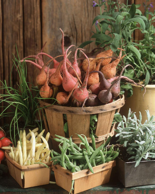 无人,交叉,竖图,俯视,室内,白天,植物,竹子,豆,许多,阴影,竹制,编织,光线,篮子,影子,葱,豆类,豆子,茭白,青葱,刀豆,很多,四季豆,绿色,自然,竹篮,生长,成长,竹条,交织,竹制品,芸豆,豆科,菜豆,二季豆,白肾豆,架豆,玉豆,去豆,茭瓜,穿插,出隧,高笋,菰菜,菰蒋子,菰手,菰首,菰笋,茭粑,茭耳菜,茭首,茭笋,绿节,彩图,高角度拍摄