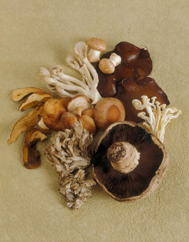 无人,竖图,俯视,室内,特写,白天,餐桌,桌子,蔬菜,许多,阴影,新鲜,反射,影子,金针菇,菌菇,香菇,食品,很多,菌类,平菇,食物,食用菌,有机食品,绿色食品,餐台,构菌,金菇,毛柄金钱菌,银针菇,智力菇,糙皮侧耳,侧耳,黑牡丹菇,杏鲍菇,彩图,高角度拍摄