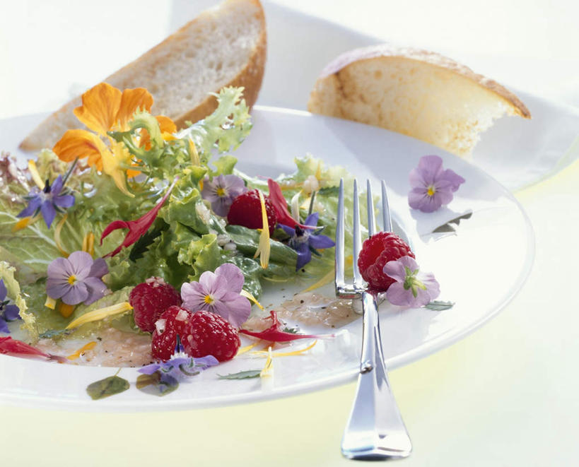 点心,面包,无人,横图,俯视,室内,特写,白天,白色背景,餐桌,桌子,蔬菜,餐具,阴影,新鲜,装饰,盛开,反射,叉子,碟子,盘,影子,生菜,莴苣,生食,蔬菜沙拉,沙拉,食品,面点,万寿菊,花蕾,色拉,沙律,佛手,花,花瓣,花朵,鲜花,食物,糕点,两个,盘子,碟,花苞,花蕊,健康,摄影,佛手柑,有机食品,绿色食品,影棚,餐台,色拉酱,华丽,修饰,吉祥,点缀,分别,千岛酱,餐叉,琉璃苣,离别,衬托,美观,雅致,雅观,长寿,春菜,鹅仔菜,莴仔菜,千金菜,叶用莴苣,长生菊,臭芙蓉,蜂窝菊,黄金盏,金盏花,金盏菊,醒酒花,惜别,幸运,友情,进餐用具,彩图,高角度拍摄,影棚拍摄,拍摄