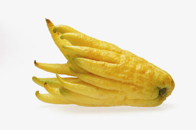 无人,横图,俯视,室外,特写,白天,白色背景,餐桌,桌子,水果,阴影,新鲜,光线,影子,生食,食品,果实,佛手瓜,食物,一个,黄色,摄影,有机食品,绿色食品,影棚,单个,餐台,菜肴梨,福寿瓜,合手瓜,合掌瓜,梨瓜,拳头瓜,万年瓜,洋丝瓜,彩图,高角度拍摄,影棚拍摄,拍摄