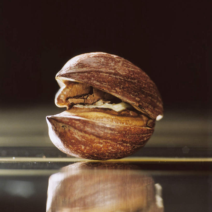 无人,方图,室内,特写,白天,正面,阴影,黑色背景,缝隙,裂缝,裂痕,光线,影子,核桃,坚果,果实,一个,干果,摄影,影棚,单个,小核桃,山核桃,胡桃,羌桃,彩图,影棚拍摄,拍摄