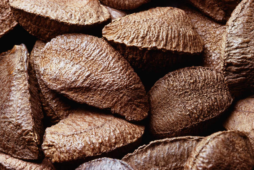 无人,横图,俯视,室内,特写,白天,水果,一堆,许多,阴影,堆叠,堆积,新鲜,光线,影子,生食,食品,坚果,棕色,果实,很多,食物,干果,有机食品,绿色食品,堆,巴西栗,巴西坚果,巴西果,鲍鱼果,彩图,高角度拍摄