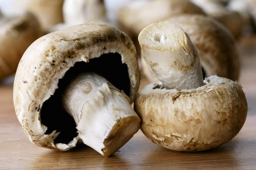 无人,横图,俯视,室内,特写,白天,餐桌,桌子,蔬菜,许多,阴影,朦胧,模糊,新鲜,光线,影子,菌菇,蘑菇,食品,很多,菌类,食物,白色,食用菌,有机食品,绿色食品,餐台,白蘑菇,洋蘑菇,草腐菌,二孢蘑菇,双孢蘑菇,彩图,高角度拍摄