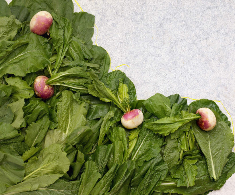 无人,横图,俯视,室内,特写,白天,萝卜,蔬菜,叶子,阴影,新鲜,光线,影子,食品,绿叶,芜菁,食物,四个,嫩叶,有机食品,绿色食品,蔓菁,盘菜,大头芥,叶,叶片,彩图,高角度拍摄