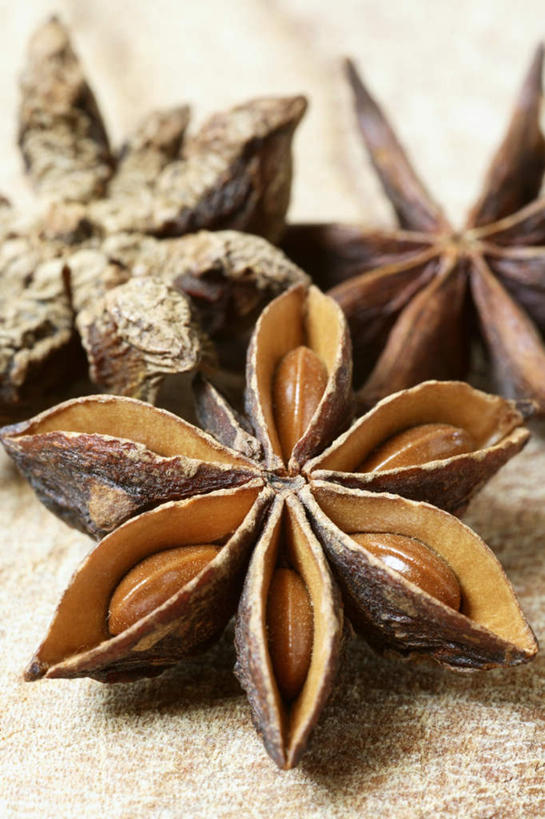 无人,竖图,俯视,室内,特写,白天,植物,餐桌,桌子,阴影,反射,影子,调味,香料,佐料,草药,药草,中药,三个,餐台,配料,药材,中草药,茴芹,中药材,本草,作料,鹅脚板,异叶茴芹,彩图,高角度拍摄