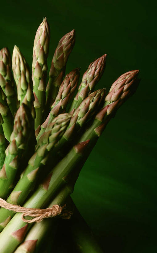 无人,竖图,俯视,室内,特写,白天,桌面,桌子,芦笋,蔬菜,许多,捆扎,绿色背景,阴影,新鲜,反射,木制,影子,食品,很多,食物,绿色,木制品,绳子,摄影,有机食品,绿色食品,影棚,猪尾巴,药鸡豆子,石刁柏,蚂蚁杆,龙须菜,狼尾巴根,彩图,高角度拍摄,影棚拍摄,拍摄,系缚