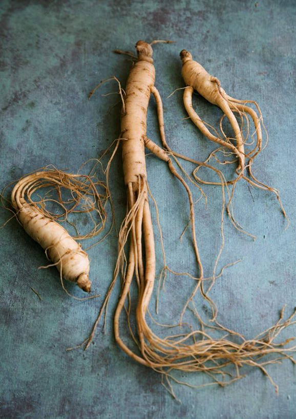 无人,竖图,俯视,室内,特写,白天,植物,桌面,桌子,人参,阴影,反射,木制,影子,褐色,根须,草药,药草,中药,三个,木制品,药材,中草药,中药材,本草,百尺杵,海腴,皱面还丹,人衔,参,彩图,高角度拍摄