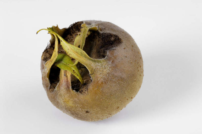 无人,横图,俯视,室内,特写,白天,白色背景,桌面,桌子,水果,阴影,新鲜,反射,木制,影子,生食,食品,果实,食物,一个,木制品,山楂,摄影,有机食品,绿色食品,影棚,单个,红果,彩图,高角度拍摄,影棚拍摄,拍摄