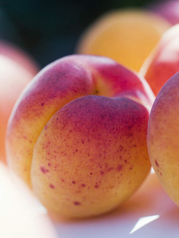 无人,竖图,俯视,室内,特写,白天,餐桌,桌子,桃子,水果,阴影,朦胧,模糊,新鲜,反射,影子,生食,食品,果实,食物,两个,粉色,有机食品,绿色食品,餐台,肺果,彩图,高角度拍摄