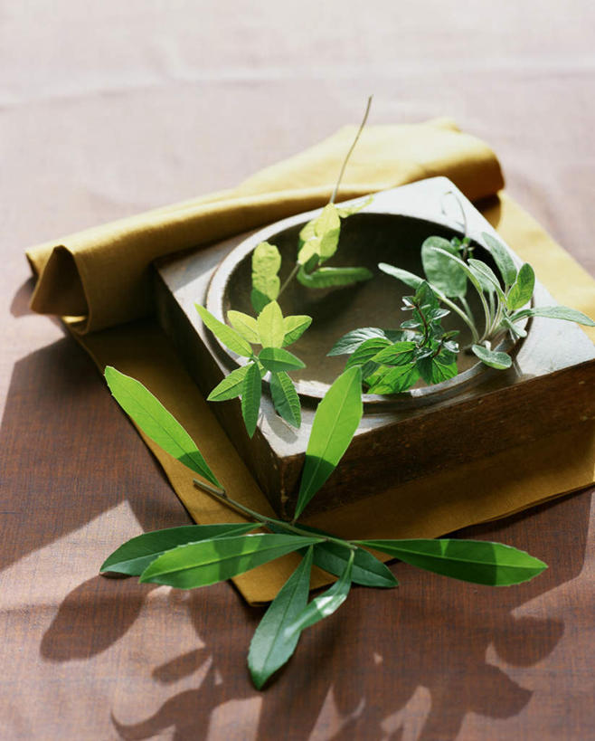 无人,家庭,竖图,俯视,室内,特写,白天,幸福,智慧,餐桌,茶,桌子,叶子,阴影,光线,木制,布料,影子,茶叶,薄荷,绿叶,银丹草,布纹,娱乐,桌布,餐巾,木制品,容器,台布,碗,享受,休闲,温馨,嫩叶,放松,乐趣,餐台,储藏,鼠尾草,提神,舒适,储存,醒脑,理性,斑叶凤梨薄荷,夜息香,马黛茶,叶,叶片,彩图,高角度拍摄,贮存