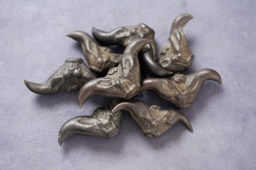 无人,横图,俯视,室内,特写,白天,水果,一堆,一排,许多,阴影,堆叠,堆积,紫色背景,新鲜,整齐,光线,影子,生食,食品,褐色,果实,很多,食物,排列,摄影,菱角,有机食品,绿色食品,影棚,堆,队列,芰实,菱实,乌菱,彩图,高角度拍摄,影棚拍摄,拍摄