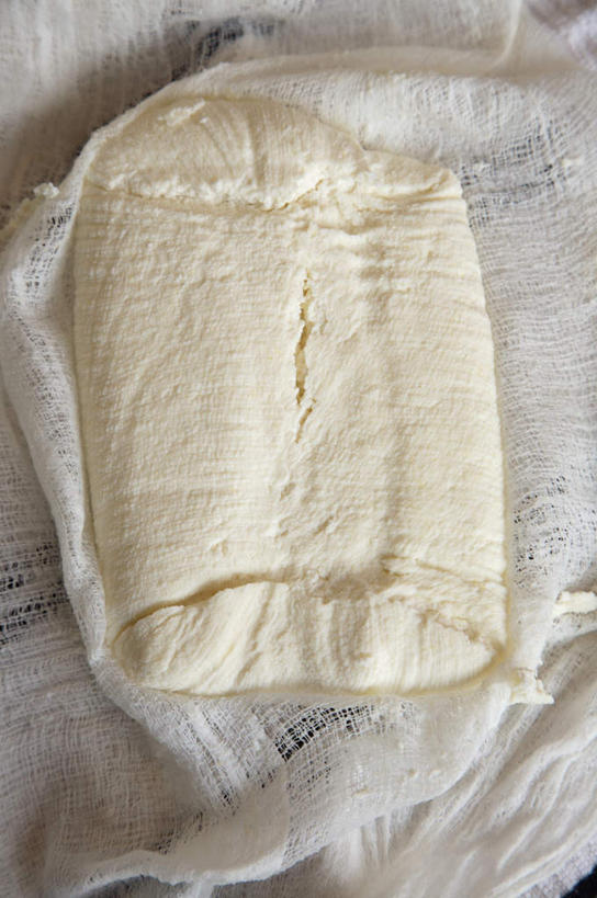 奶酪,无人,竖图,俯视,室内,特写,白天,餐桌,桌子,阴影,光线,纱布,影子,干酪,起司,芝士,营养,一个,白色,乳酪,单个,餐台,乳制品,发酵,彩图,高角度拍摄