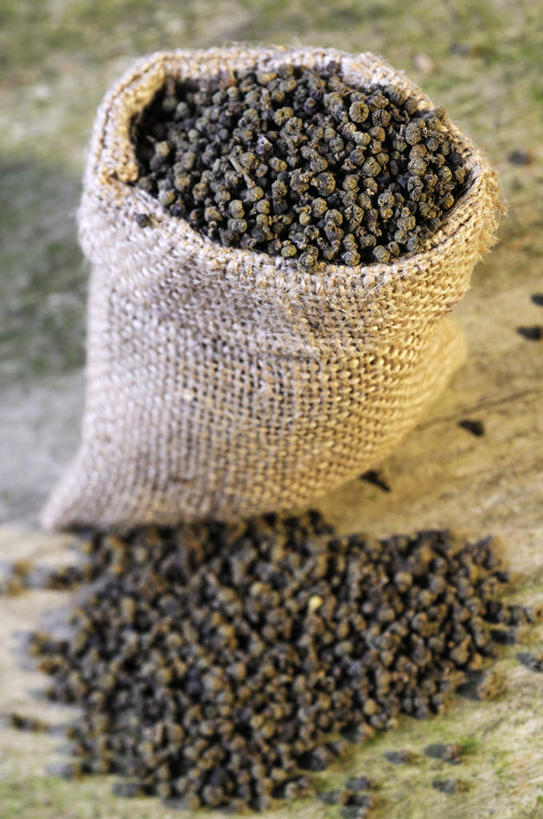 无人,竖图,俯视,室内,特写,白天,植物,地板,袋子,一堆,许多,阴影,堆叠,堆积,朦胧,模糊,光线,影子,调味,香料,佐料,草药,药草,麻袋,中药,一个,黑色,容器,单个,储藏,堆,配料,储存,药材,中草药,中药材,本草,作料,避邪,思念,茱萸,辟邪翁,越椒,彩图,高角度拍摄,贮存