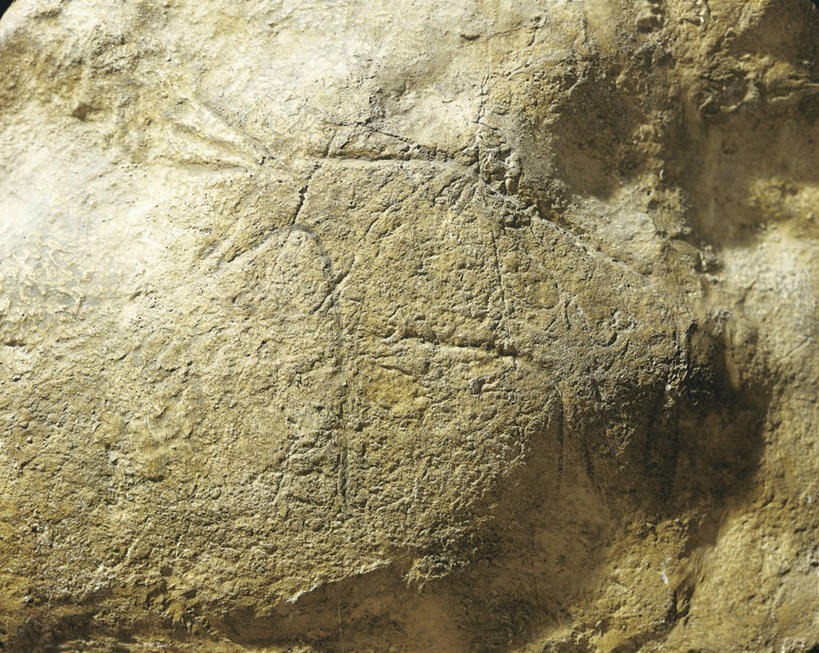 无人,横图,特写,侧面,牛,历史,古代,摄影,古代文明,美术工艺,史前时代,彩图,影棚拍摄,石器时代,过去