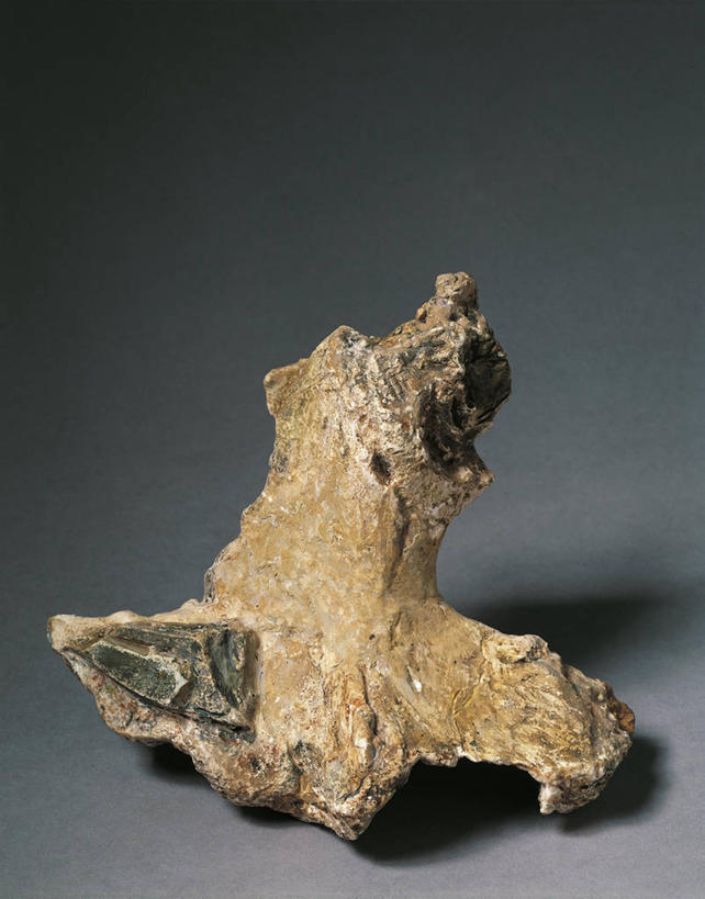 骨骼,无人,竖图,留白,灰色背景,骨头,历史,古代,一个,灰色,人体,摄影,单个,骨架,直立人,史前时代,彩图,影棚拍摄,石器时代