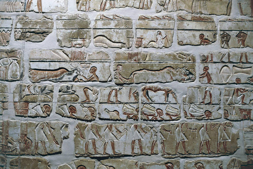 无人,横图,室内,白天,埃及,墙,围墙,历史,摄影,考古学,中东,卡尔纳克神殿,古埃及文明,古代文明,底比斯,美术工艺,彩图