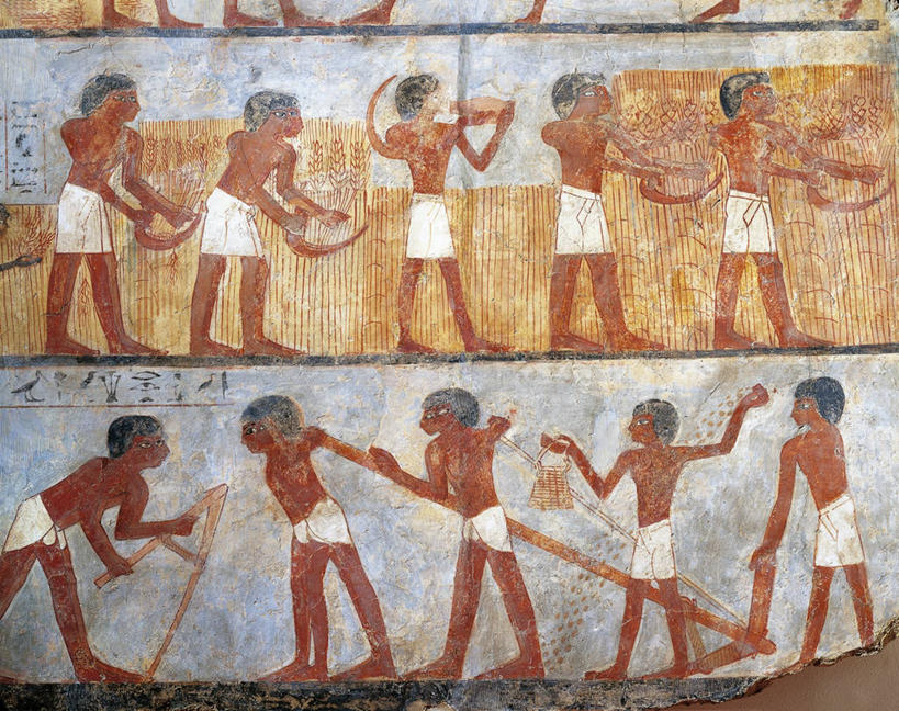 成年人,农民,横图,插画,侧面,农业,小麦,数码,科技,阴影,丰富,网络,田地,许多人,高光,几何,计算机图形,合成,图画,壁画,画,古代,一群人,职业,播种,摄影,收获,电脑合成图,数码合成图,合成图,漫画,写实,具体,具象,古埃及文明,古代文明,彩图,影棚拍摄