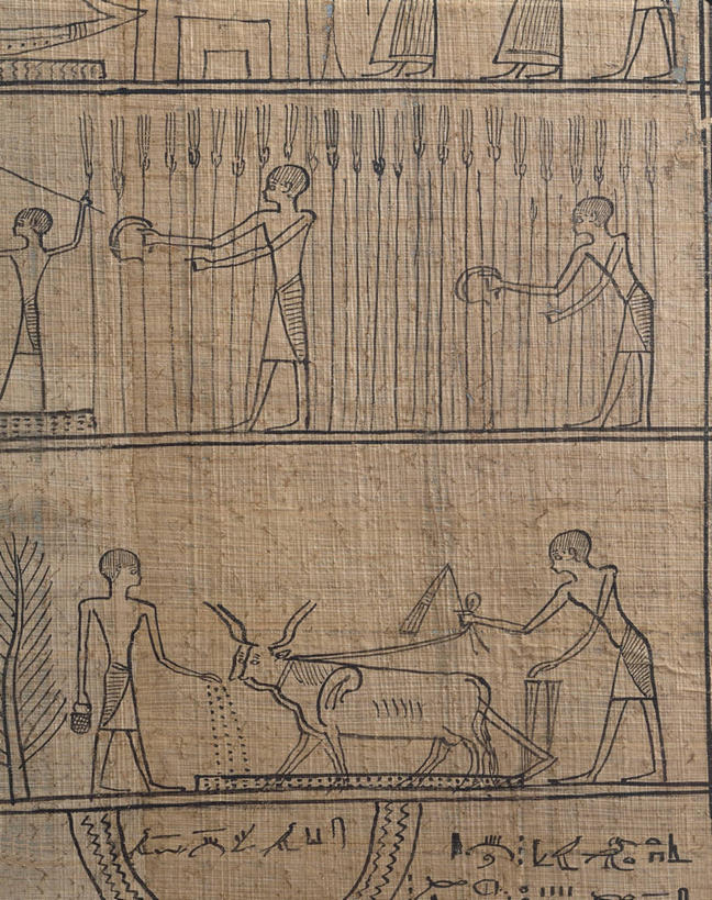 无人,竖图,特写,农业,标志,符号,标识,古代,工人,摄影,宗教,象形文字,性别符号,古埃及文明,古代文明,美术工艺,员工,书,野牛,神父,彩图,匠人,劳动者,体力工,男性符号,死亡之书