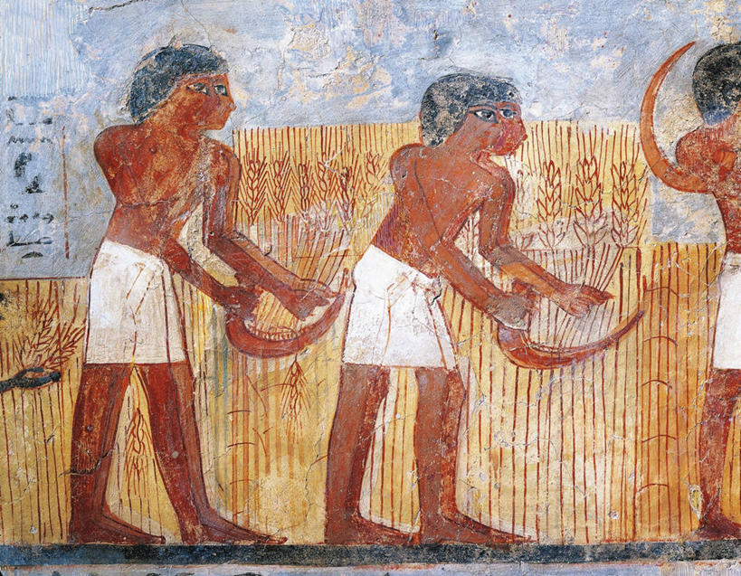 成年人,农民,站,横图,插画,室外,白天,侧面,农业,小麦,数码,科技,五个人,阴影,丰富,网络,田地,高光,几何,计算机图形,合成,图画,壁画,画,古代,摄影,收获,电脑合成图,数码合成图,合成图,漫画,镰刀,写实,具体,具象,古埃及文明,古代文明,彩图